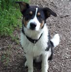 Thomas Audibert - Facebook
