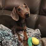Thomas Audibert - Facebook