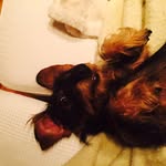 Thomas Auerbach - @samson210467 - Instagram