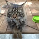 Thomas Auerbach - @auerbach0410 - Instagram
