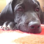 Thomas Augé - @auge_thomas - Instagram