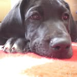 Thomas Augé - @t.auge - Instagram