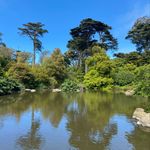 Thomas Avent - @naturebytrill - Instagram