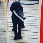 Thomas Babin - @thomas.babin.3382 - Instagram