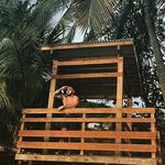Thomas Babin - @thomas_babin - Instagram