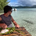 Thomas Baché - @thomasbache - Instagram