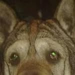 Thomas Bacher - @thomas.bacher.77 - Instagram