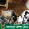 Thomas Bacher - @nase080971 - TikTok