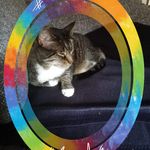 Thomas Bade - @thomas.bade.988 - Instagram
