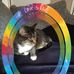 Thomas Bade - Facebook