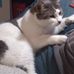 Tommy Badger - Facebook