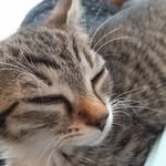 thomas bagot - @bagotthomas0 - Instagram