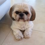 Thomas Bainbridge - @bigtamb64 - Instagram