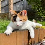 Thomas Bainbridge - @bainbridge4580 - Instagram
