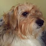 Thomas Bainbridge - @thomasglenbainbridge - Instagram