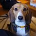 Thomas Balcom - Facebook