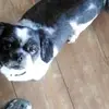 Thomas Ball - @thomas.ball70 - TikTok