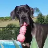 thomashbaranya - @thomashbaranya - TikTok