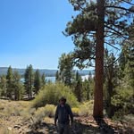 Michael Barham - @michaelthomasbarham - Instagram
