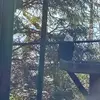 thomas.barham1 - @thomas.barham1 - TikTok