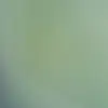 Thomas Barra - @56930374215hola - TikTok