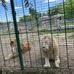 Thomas Barta - Facebook