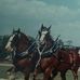 Thomas Bartel - Facebook