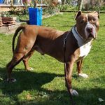 Thomas Barthel - @barthel636 - Instagram
