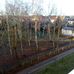 Thomas Barthel - Facebook