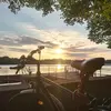 thomasbarthel350 - @thomasbarthel350 - TikTok
