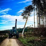 Thomas Bartik - @thomasbartik - Instagram