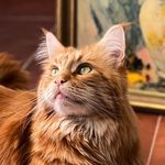 Thomas Bartolomeo (Tom) - @bartolomeo.thomas - Instagram