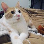 Tomás Bartolomeo - @tomas.bartolomeo - Instagram