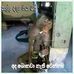 Thomas Basore - Facebook