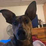 Thomas Bates - @tommyb5548 - Instagram