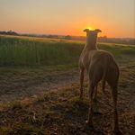 Thomas Bates - @thomasbates2773 - Instagram