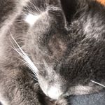 Thomas Bath - @bath3124 - Instagram