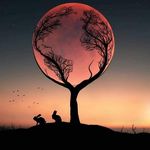 Thomas Baugh - @thomasbaugh2 - Instagram