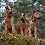 Thomas Baumann - @thomas.baumann.5621 - Instagram