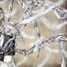 Thomas Bayard - Facebook