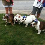Jennifer Thomas Bayne - @banjenbulldogs - Instagram