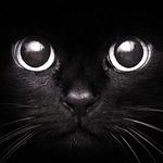 Thomas_Beaulieu - @thomas_beaulieu7 - Instagram