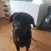 Thomas Zacharie Bechard - Facebook