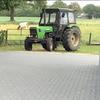 Thomas_beekman - @thomas_beekman.kbk - TikTok