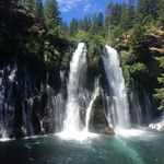 Matthew Todd Thomas - @beemanthomas1914 - Instagram