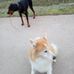 Thomas Beitz - Facebook