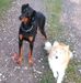 Thomas Beitz - Facebook