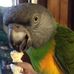 Thomas Beitz - Facebook