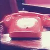 Thomas Belford779 - @thomasbelford7790 - TikTok