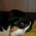 Thomas Below - Facebook